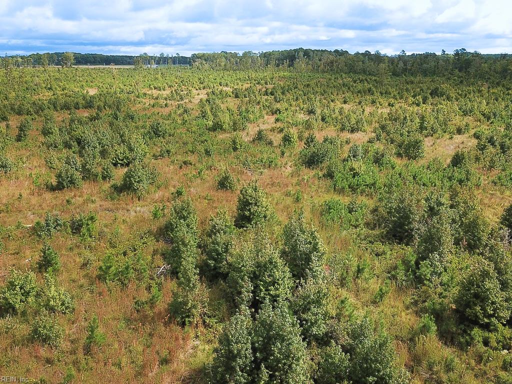 193 Acres Saxis Rd Property Photo 11