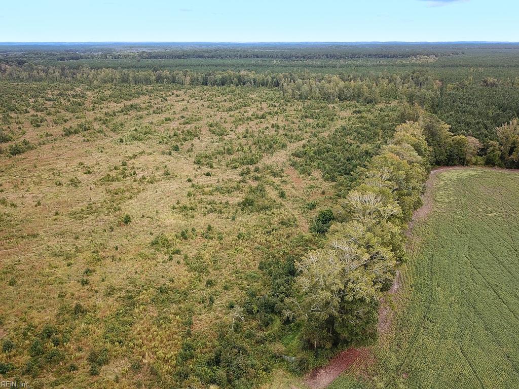 193 Acres Saxis Rd Property Photo 13