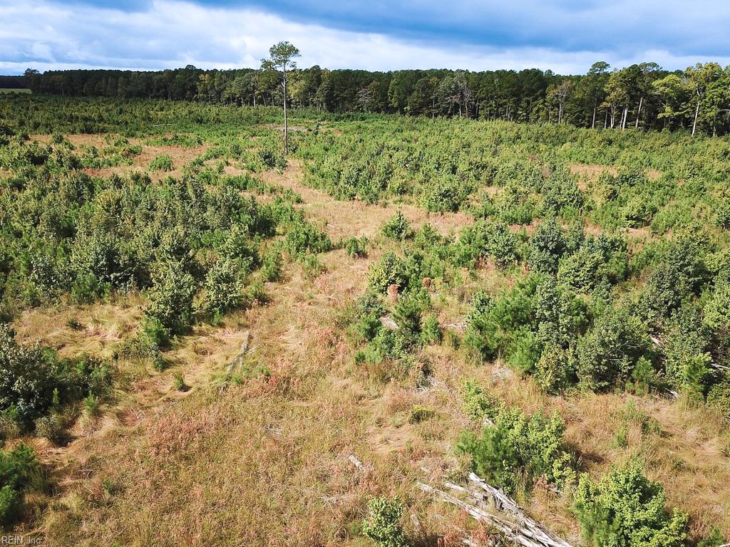 193 Acres Saxis Rd Property Photo 14