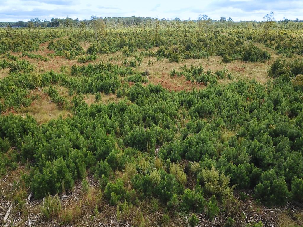 193 Acres Saxis Rd Property Photo 15