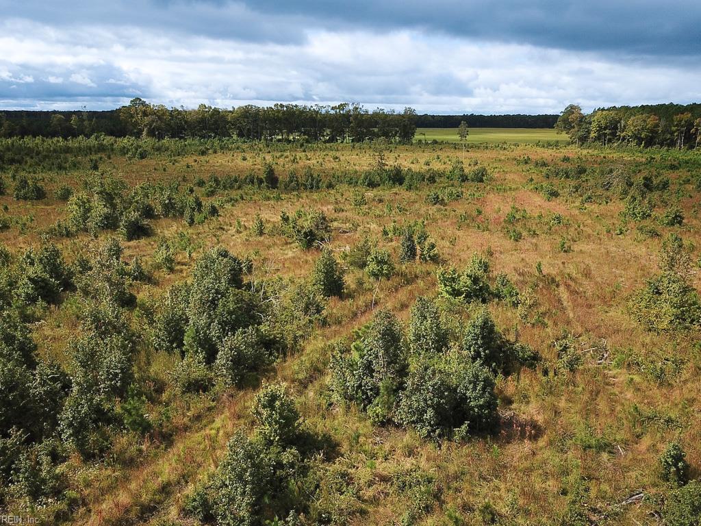 193 Acres Saxis Rd Property Photo 17