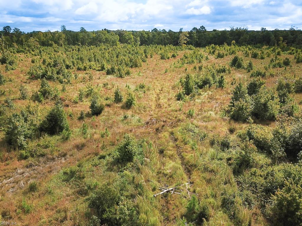 193 Acres Saxis Rd Property Photo 18