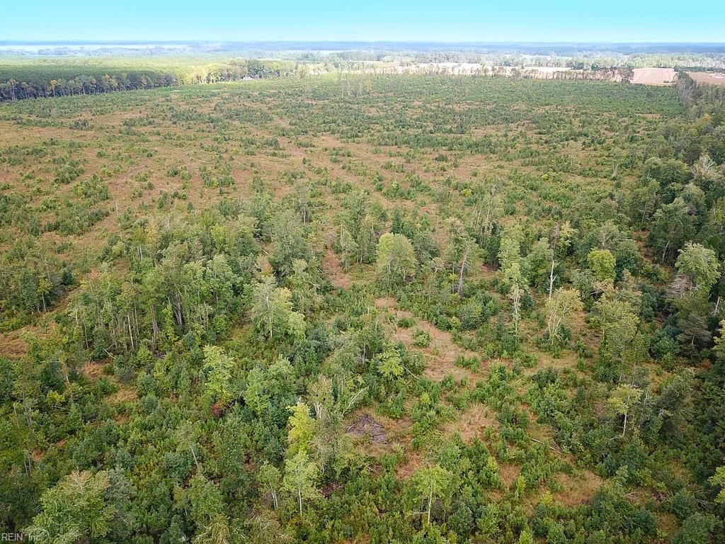 193 Acres Saxis Rd Property Photo 19