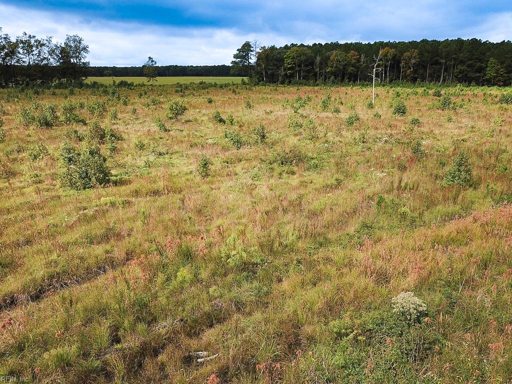 193 Acres Saxis Rd Property Photo 21