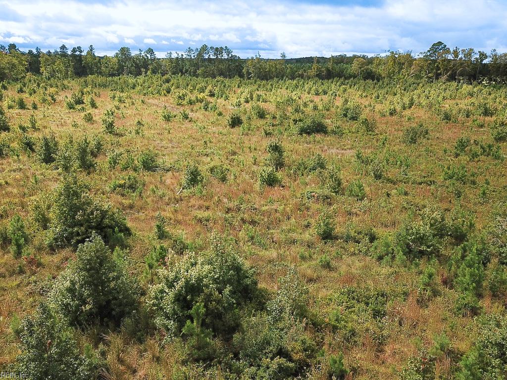 193 Acres Saxis Rd Property Photo 22
