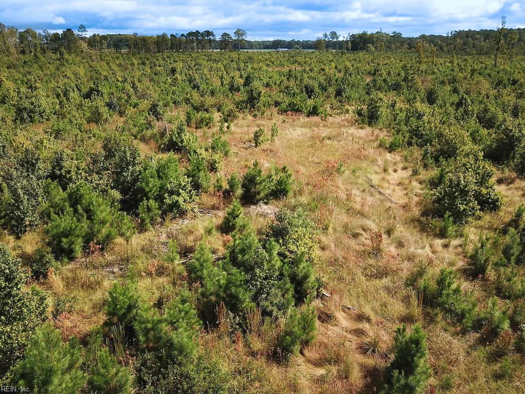 193 Acres Saxis Rd Property Photo 24