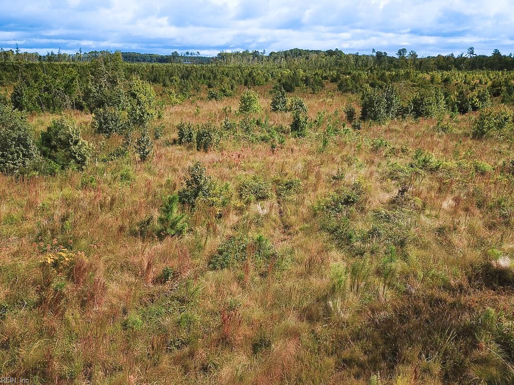 193 Acres Saxis Rd Property Photo 25