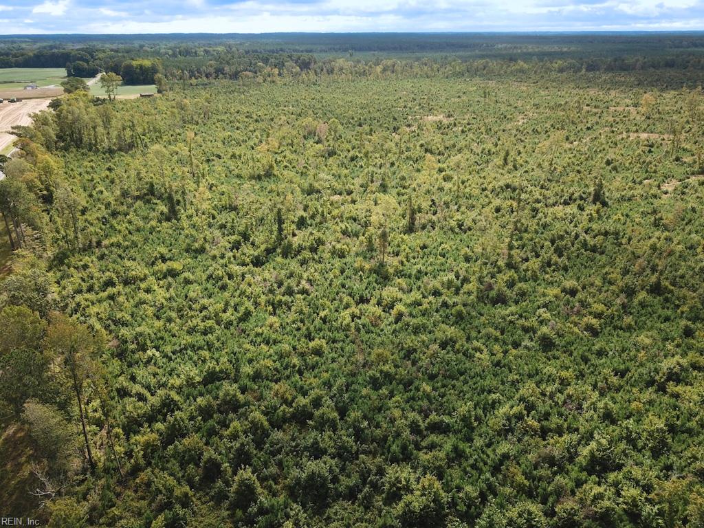 193 Acres Saxis Rd Property Photo 26