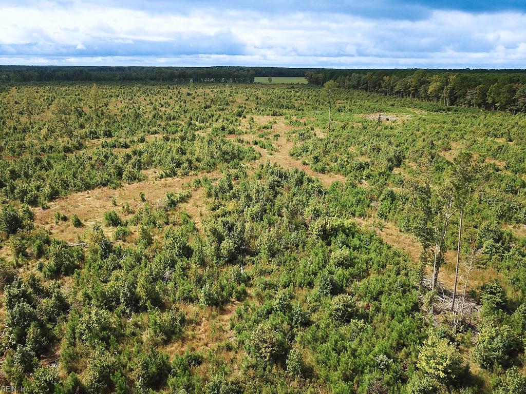 193 Acres Saxis Rd Property Photo 28
