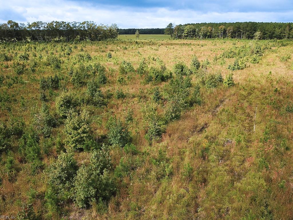 193 Acres Saxis Rd Property Photo 30