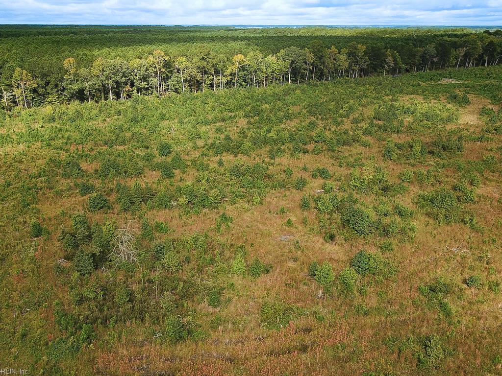 193 Acres Saxis Rd Property Photo 31