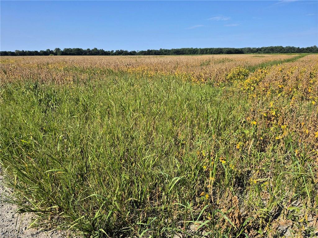 1773 Land Of Promise Rd Property Photo 7