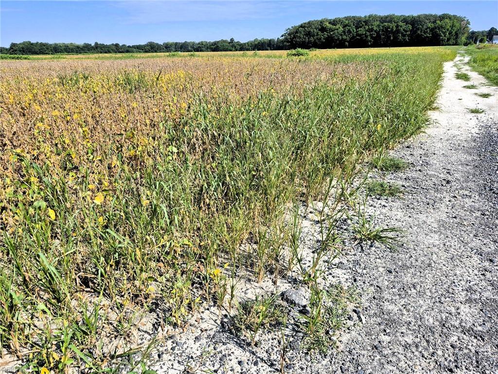1773 Land Of Promise Rd Property Photo 9