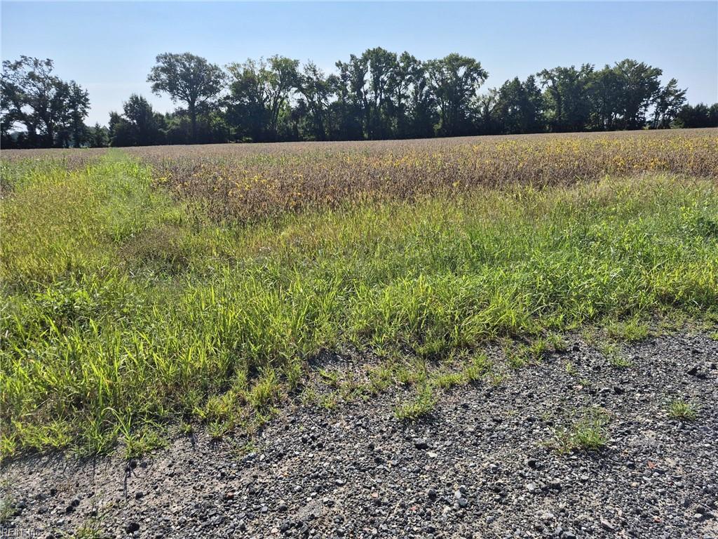 1773 Land Of Promise Rd Property Photo 10
