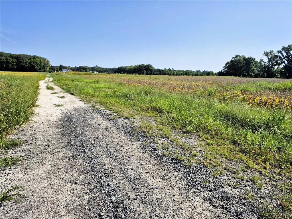 1773 Land Of Promise Rd Property Photo 11