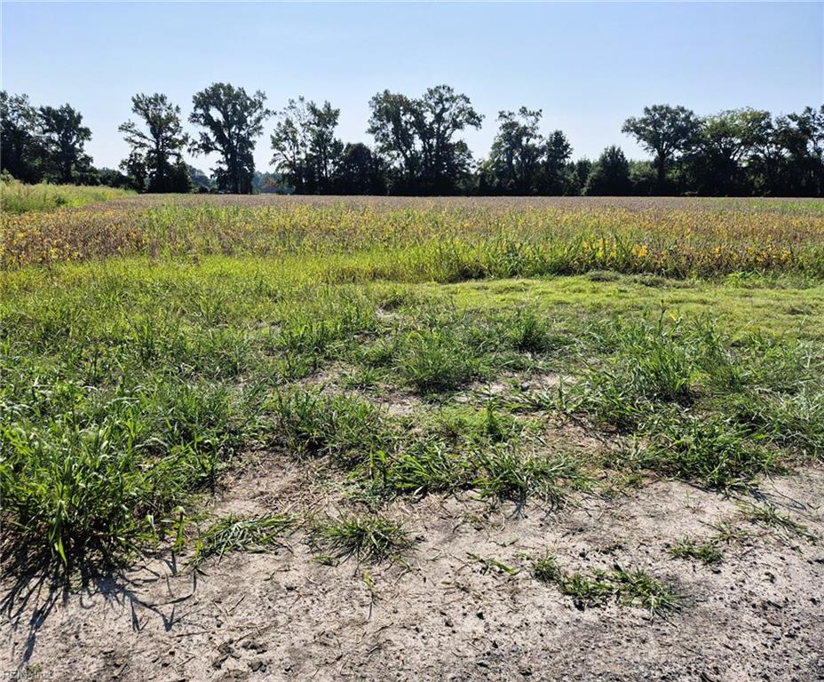 1773 Land Of Promise Rd Property Photo 12