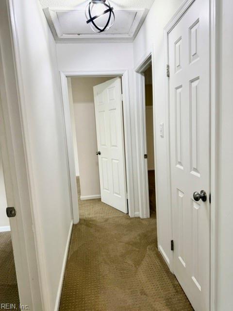 4833 Halwell Dr Property Photo 18