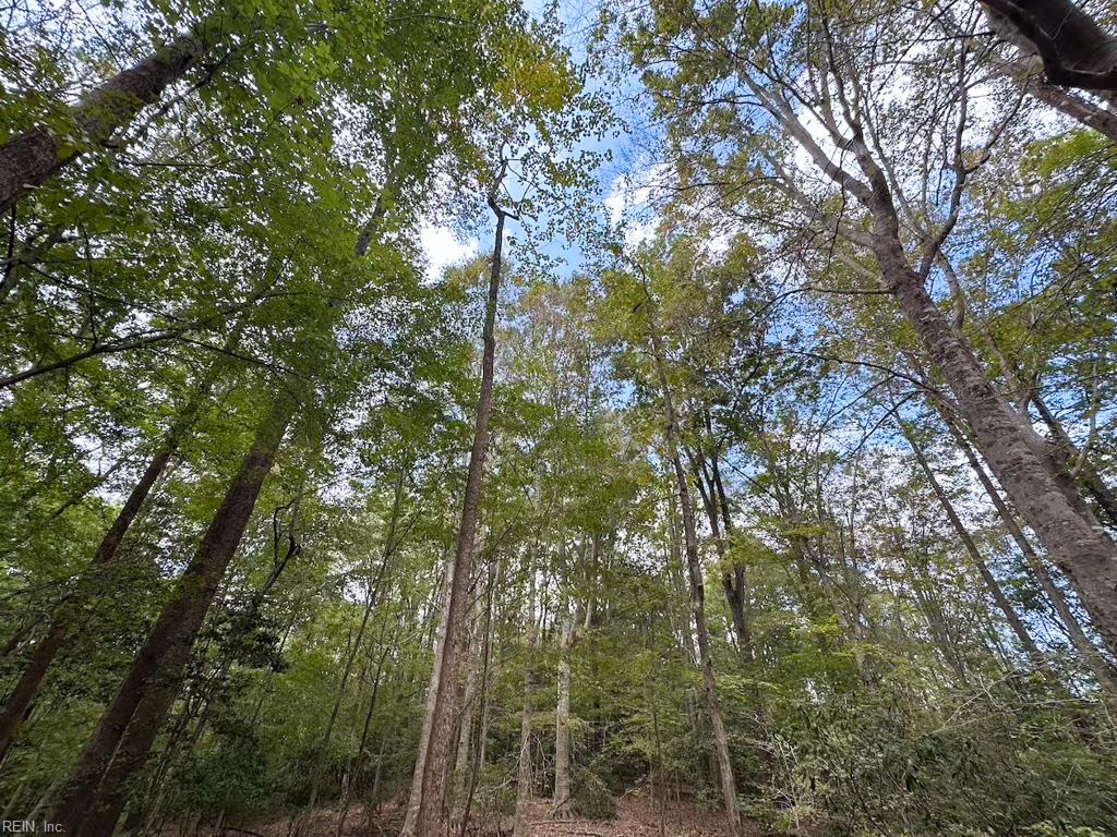 15157 Hilltop Ln Property Photo 5