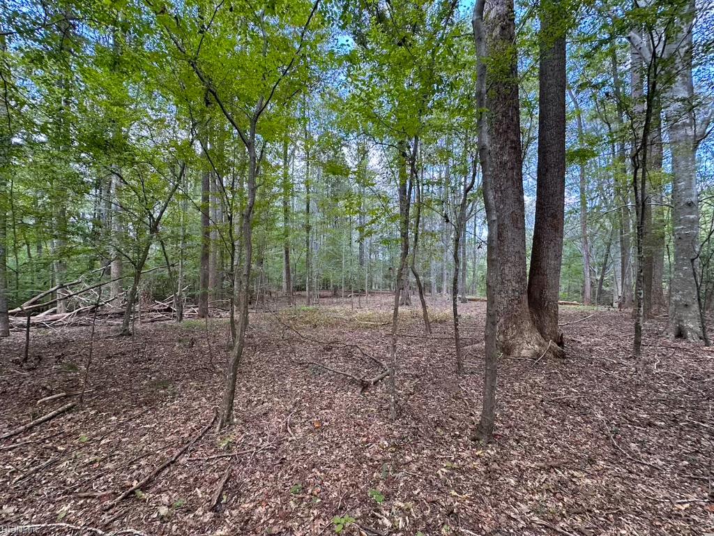15157 Hilltop Ln Property Photo 36