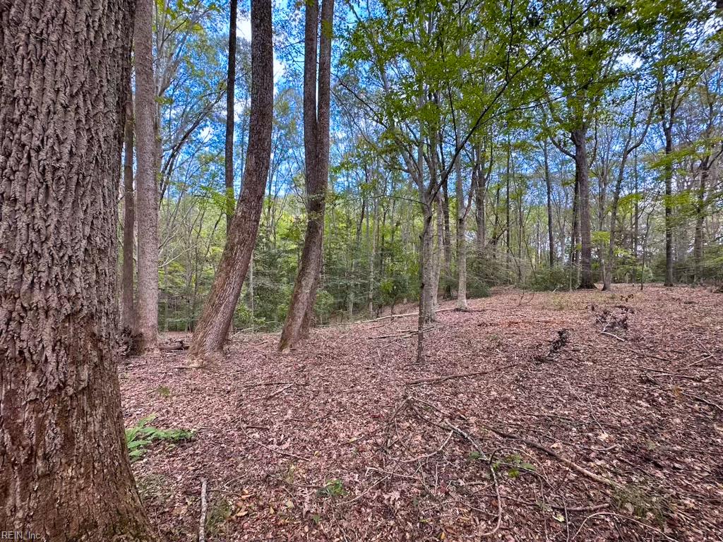 15157 Hilltop Ln Property Photo 37
