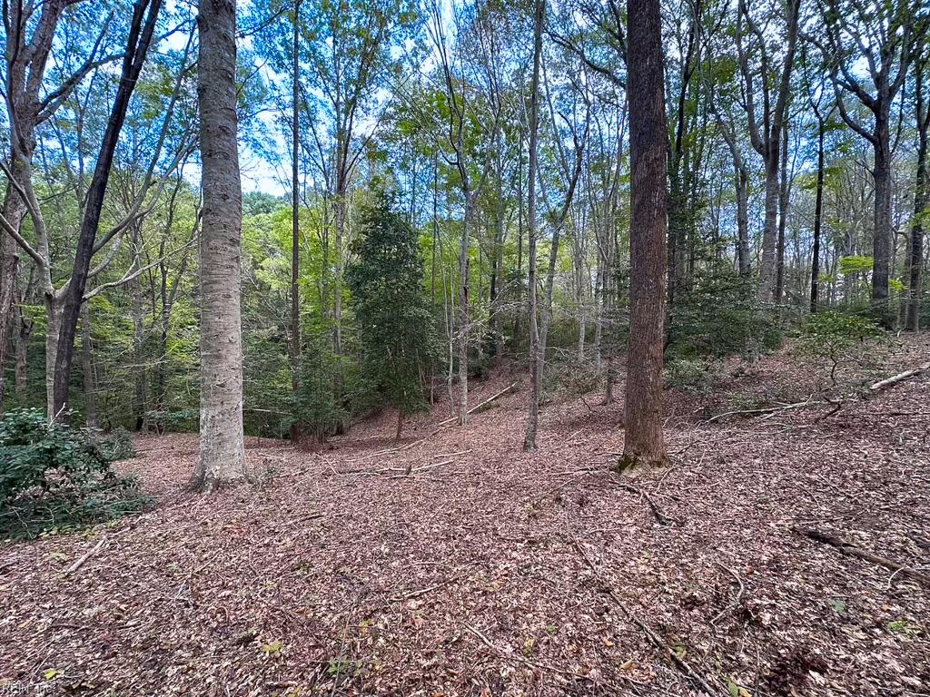 15157 Hilltop Ln Property Photo 38