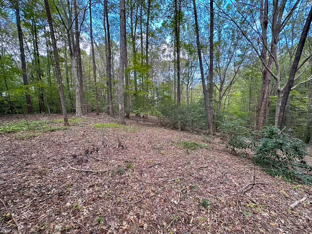 15157 Hilltop Ln Property Photo 40