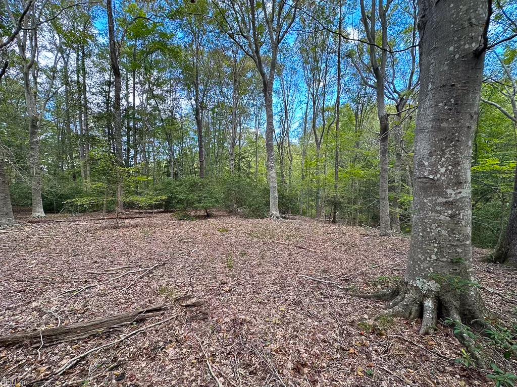 15157 Hilltop Ln Property Photo 41