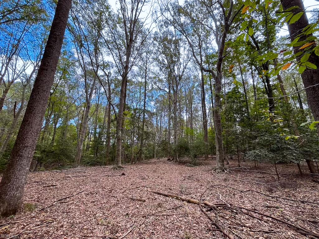 15157 Hilltop Ln Property Photo 44