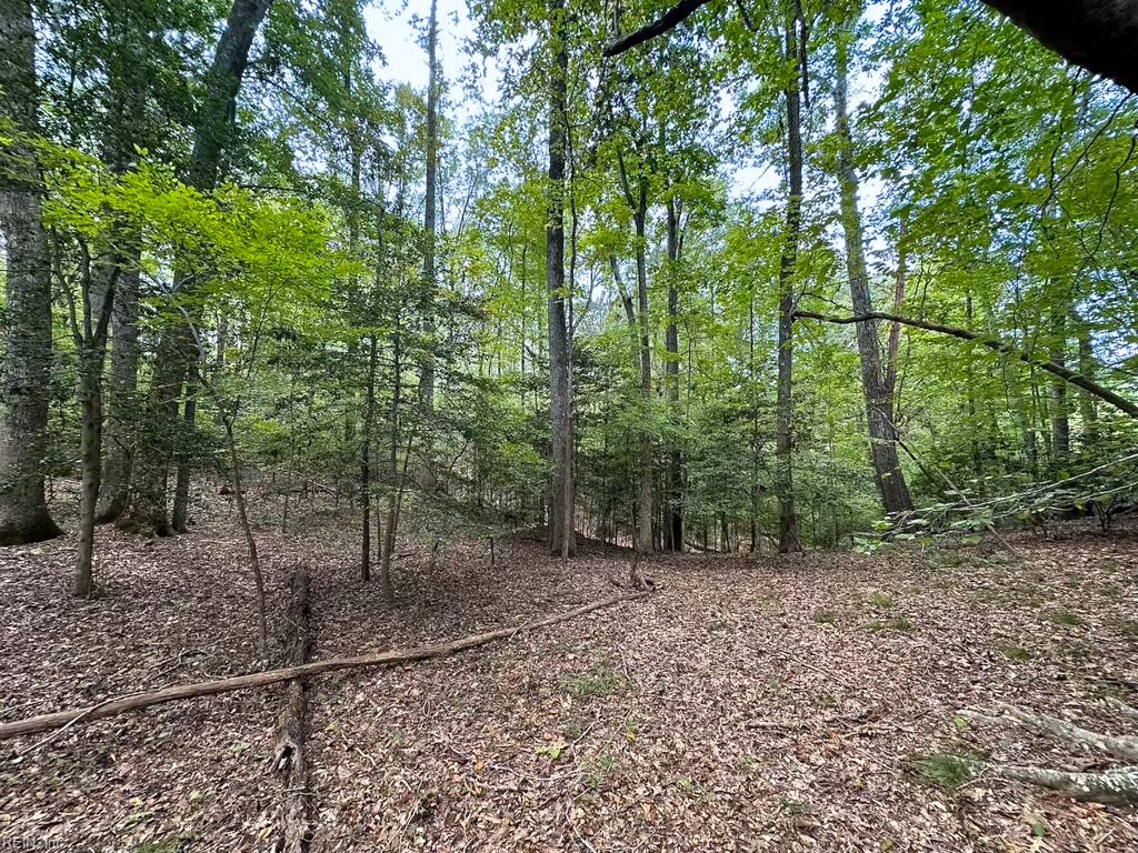 15157 Hilltop Ln Property Photo 45