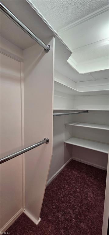 925 N Scarlet Oak Ct Property Photo 18