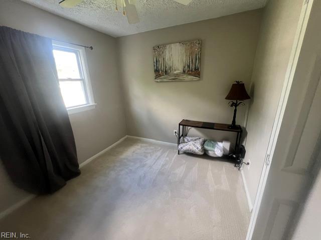 309 Joan Ter Property Photo 16