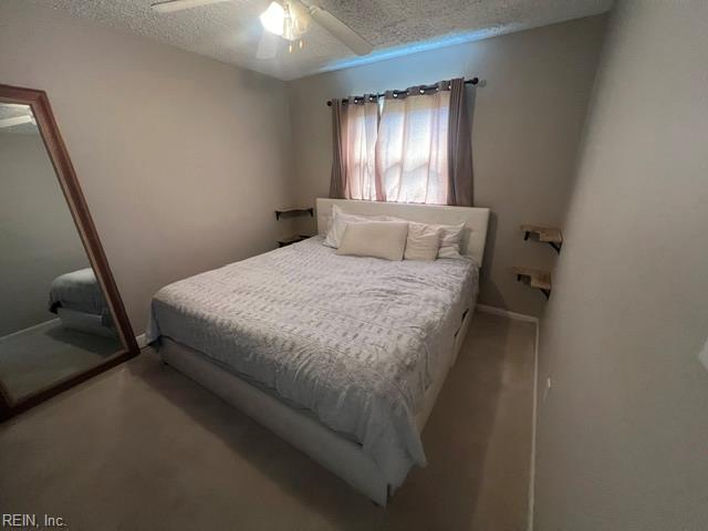 309 Joan Ter Property Photo 19
