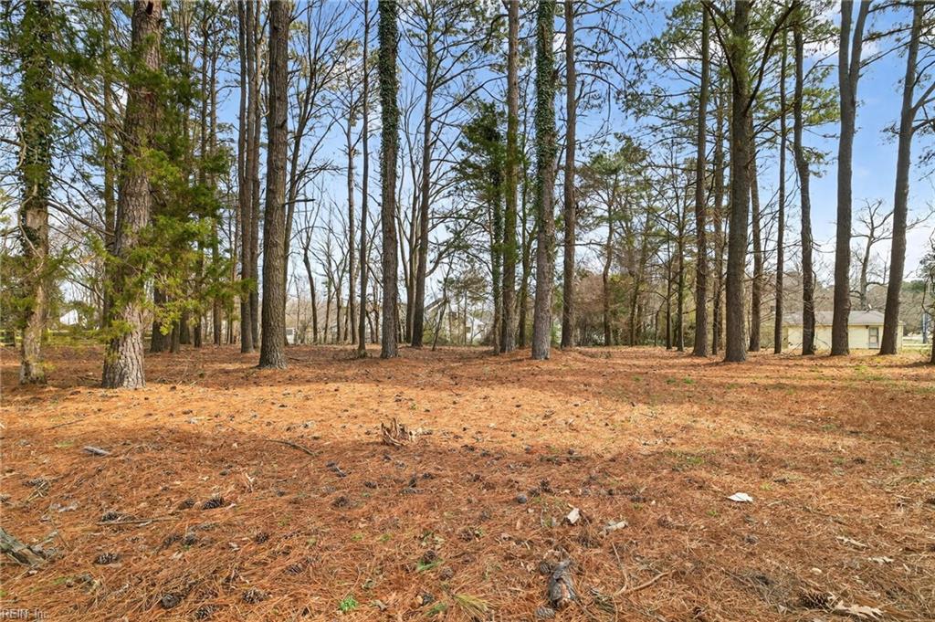 1635 Colonial Ave Property Photo 40