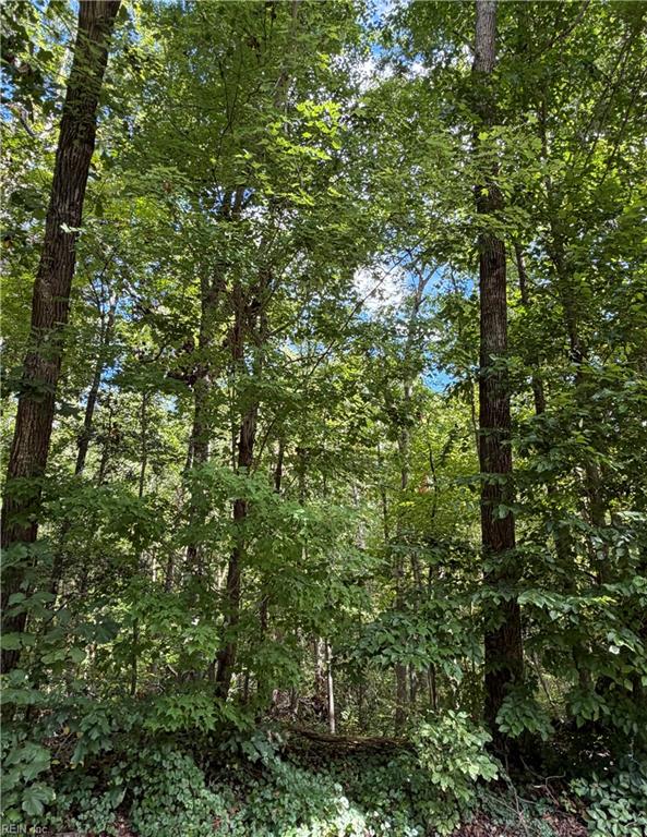 6.72ac Hudson Mill Drive Dr Property Photo 2