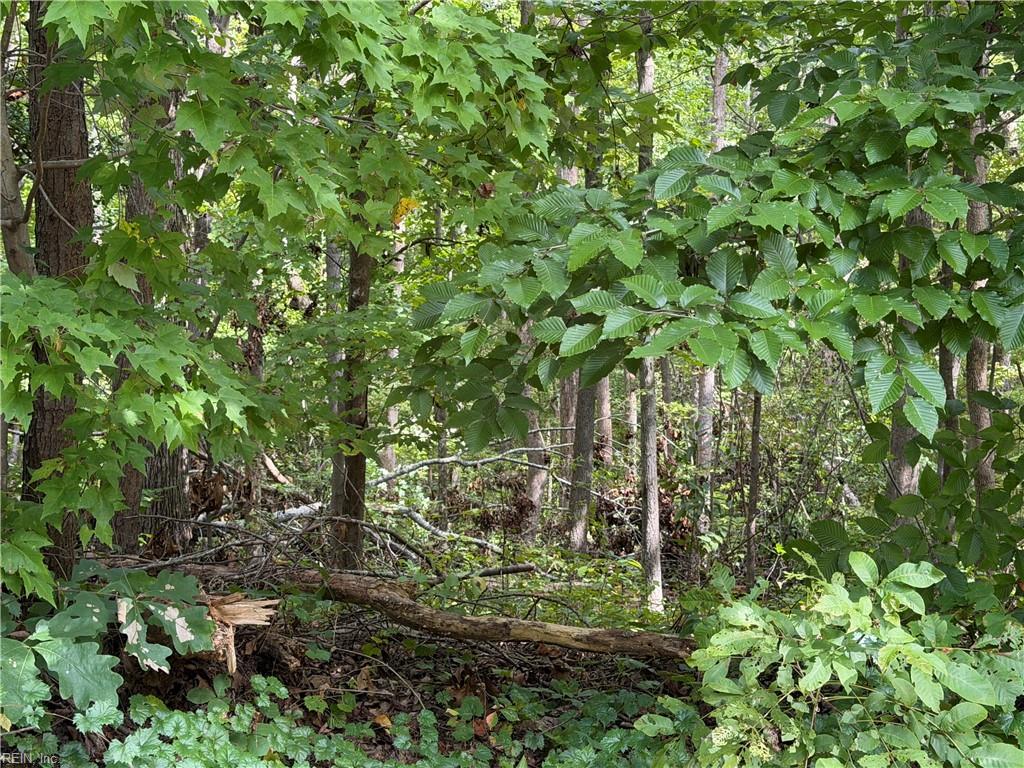 6.72ac Hudson Mill Drive Dr Property Photo 3