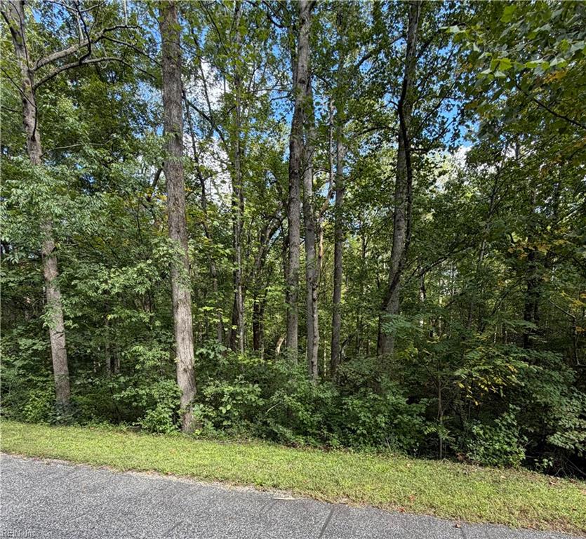 6.72ac Hudson Mill Drive Dr Property Photo 5