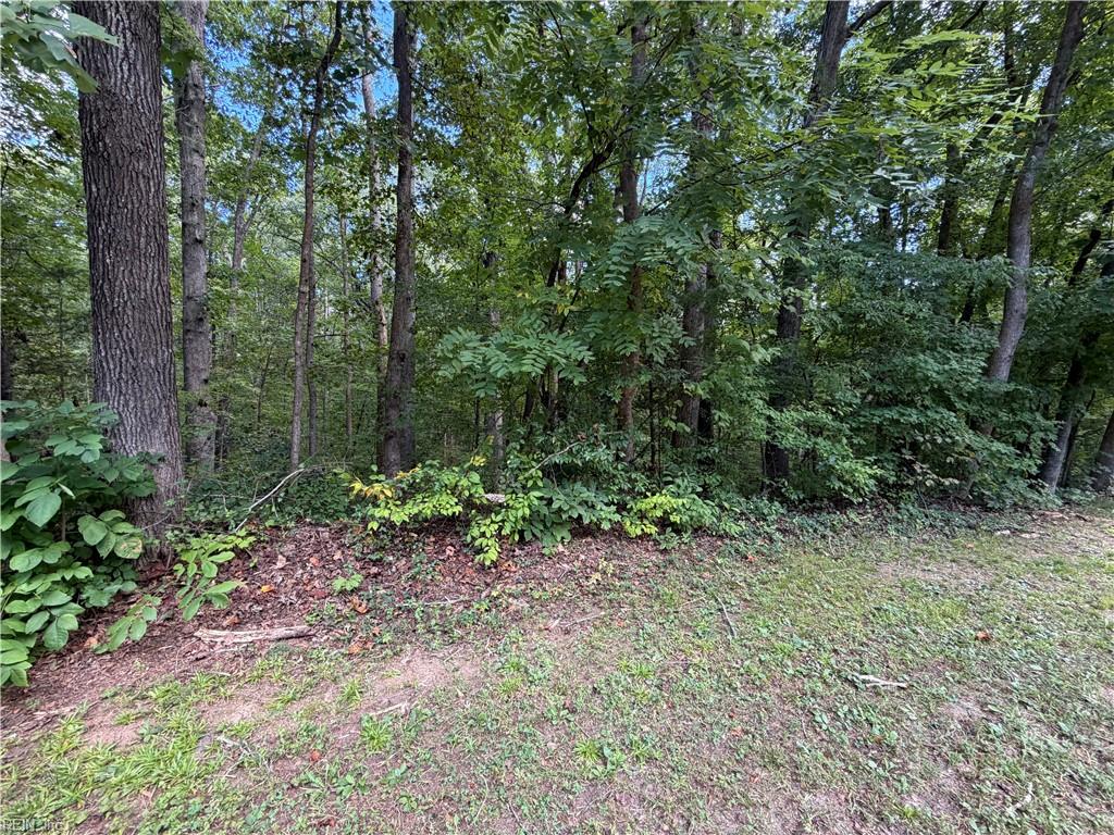 6.72ac Hudson Mill Drive Dr Property Photo 8