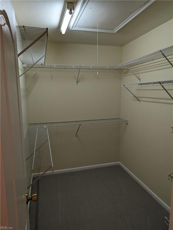 3817 Braswell Cir Property Photo 22