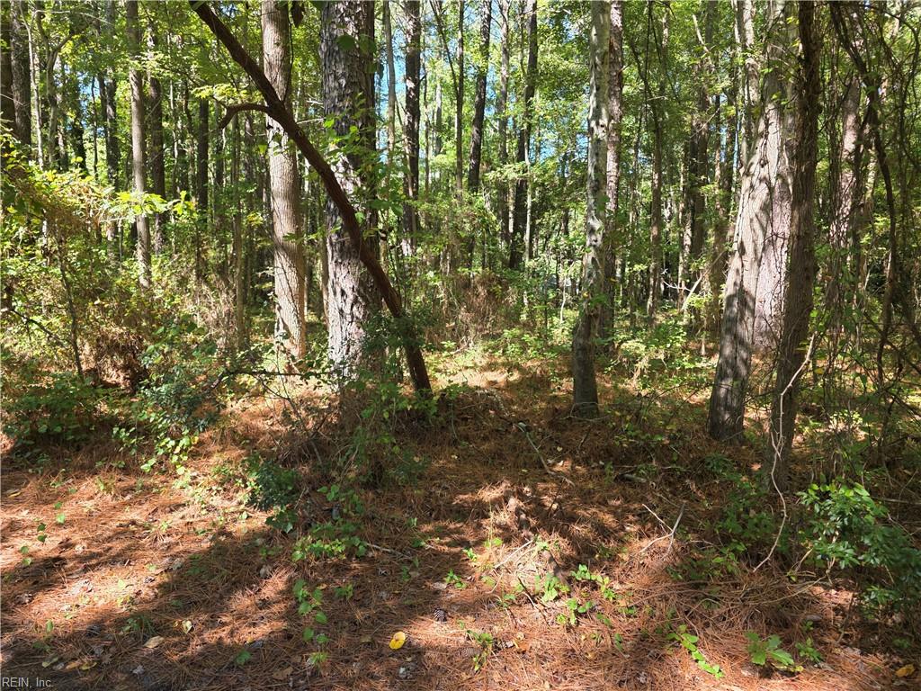 00 Mobjack Ln Property Photo 1