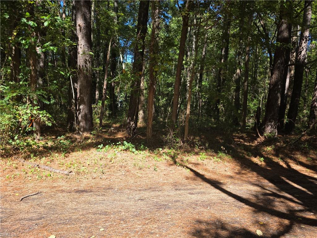 00 Mobjack LN Property Photo 1
