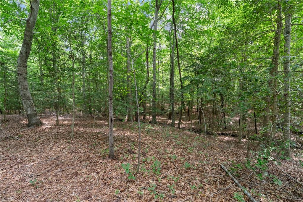 113 Spivey Farm Ln Property Photo 35