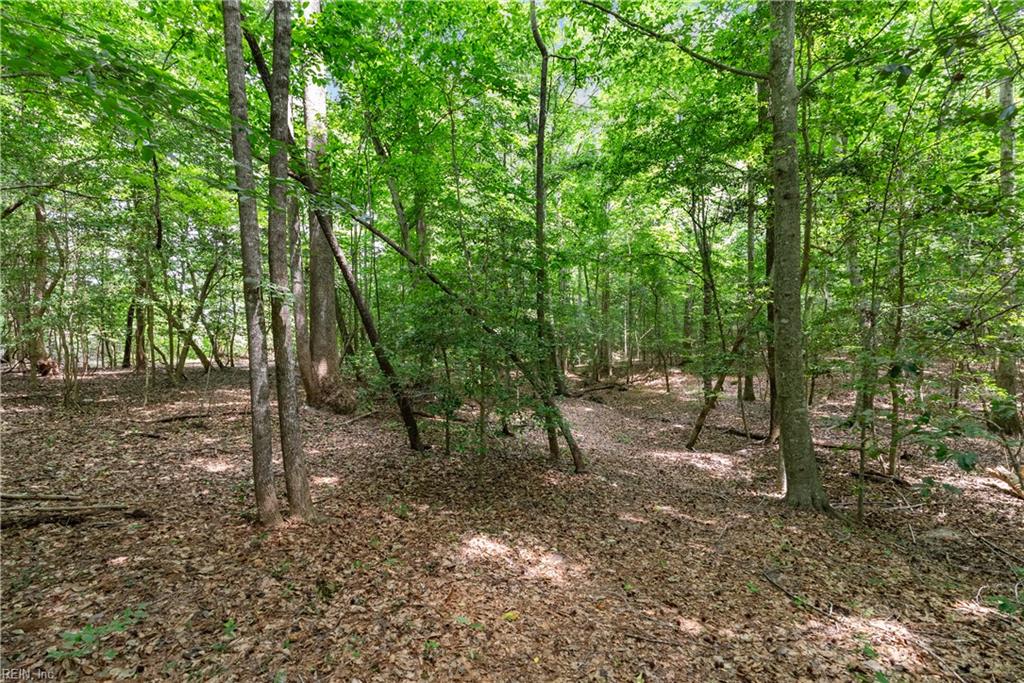 113 Spivey Farm Ln Property Photo 37