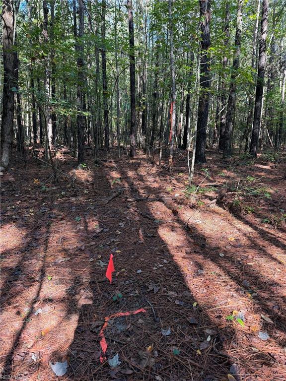 Parcel Dripping Springs Rd Property Photo 2