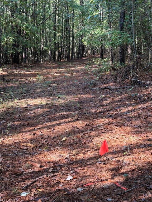 Parcel Dripping Springs Rd Property Photo 4