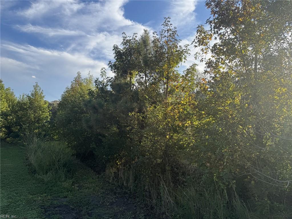 7acres Back Bay Pungo Property Photo 1