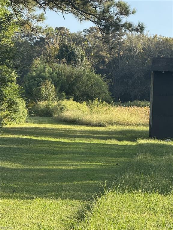 7acres Back Bay Pungo Property Photo 3