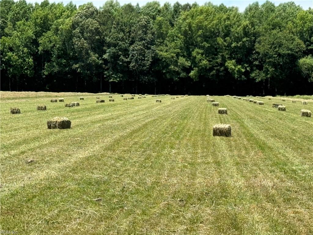 42 Ac Saint Brides Rd W Property Photo 14