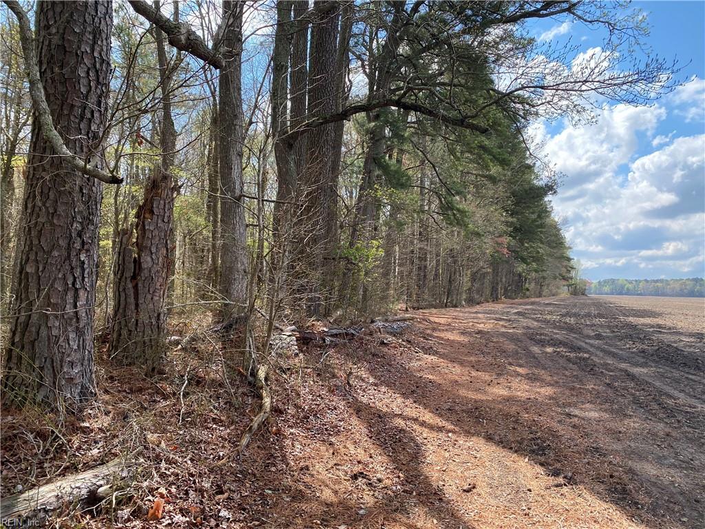 42 Ac Saint Brides Rd W Property Photo 20