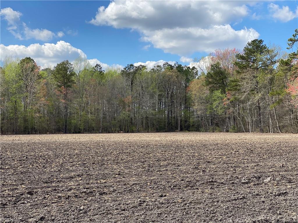 42 Ac Saint Brides Rd W Property Photo 28