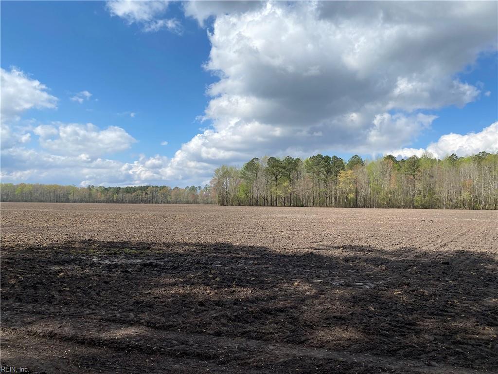 42 Ac Saint Brides Rd W Property Photo 29